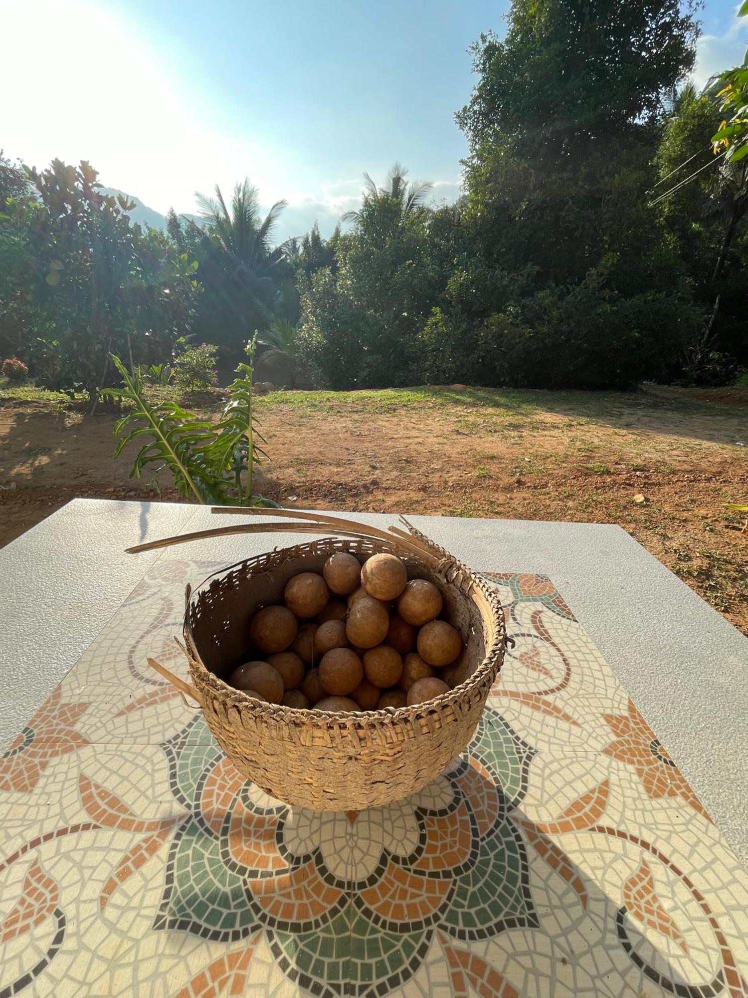 מונאר Calm Shack - 2 Bedroom-Boutique Farm Stay מראה חיצוני תמונה