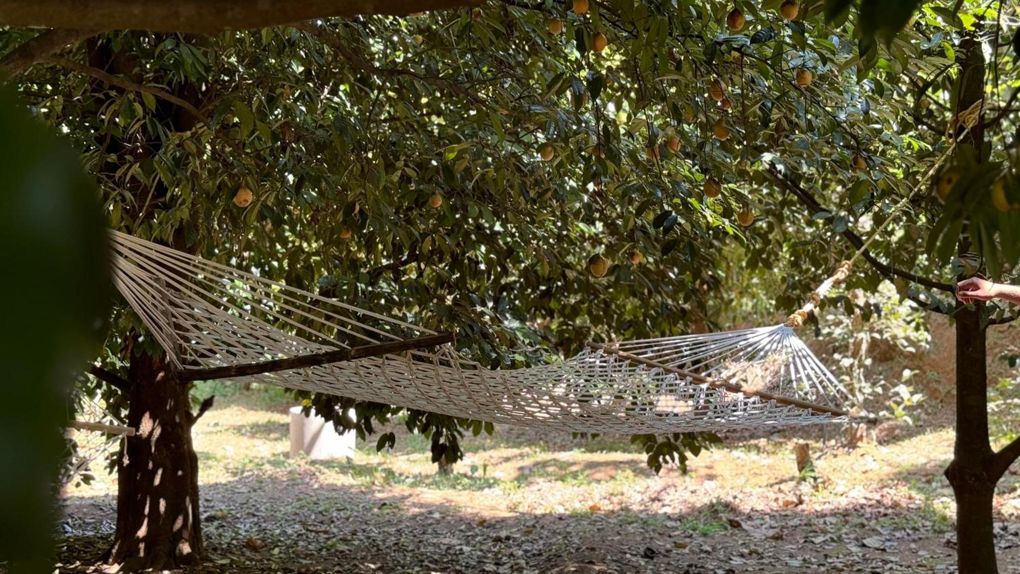 מונאר Calm Shack - 2 Bedroom-Boutique Farm Stay מראה חיצוני תמונה